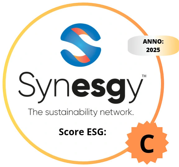 LogoSynesgy