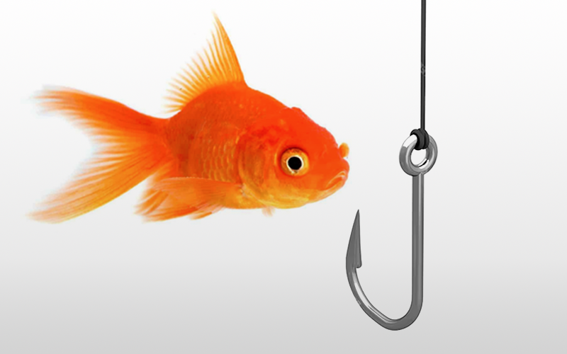 Phishing: Cos'è e Come Proteggersi