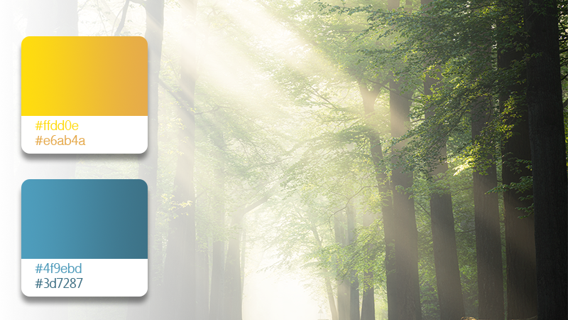 Web design mobile-friendly e responsive