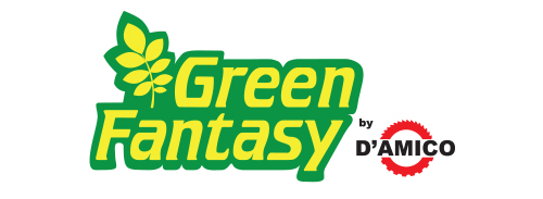 logo green fantasy