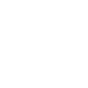 icona monitor