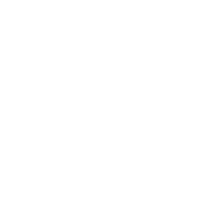 icona netbook