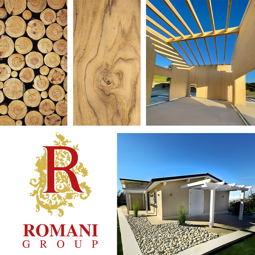 Anteprima sito Romani Group